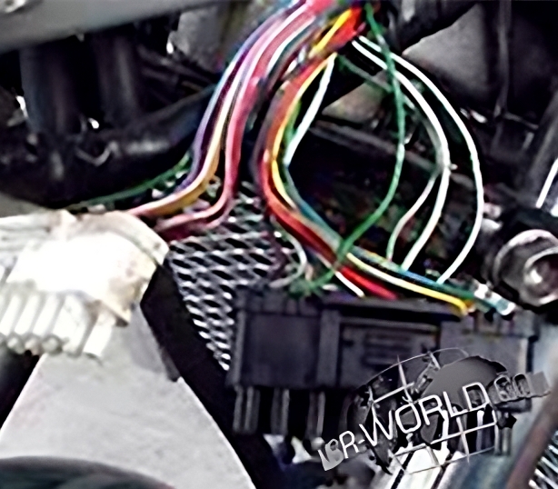 mc28-splice-1-transformed